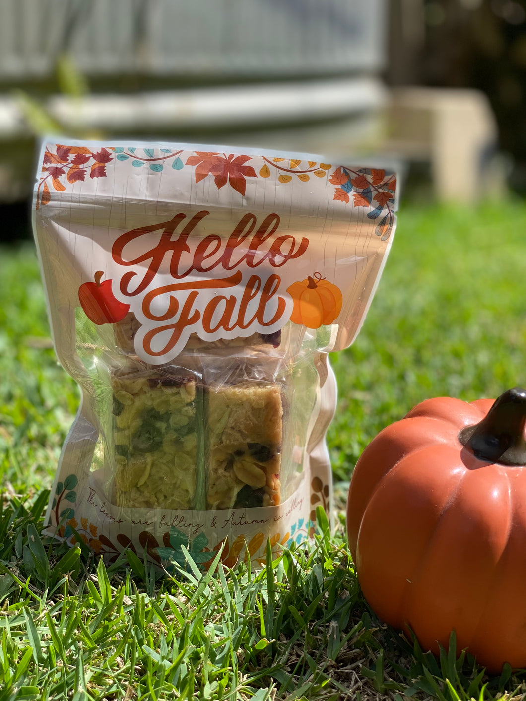 12oz Hello Fall Energy Bar Pouch